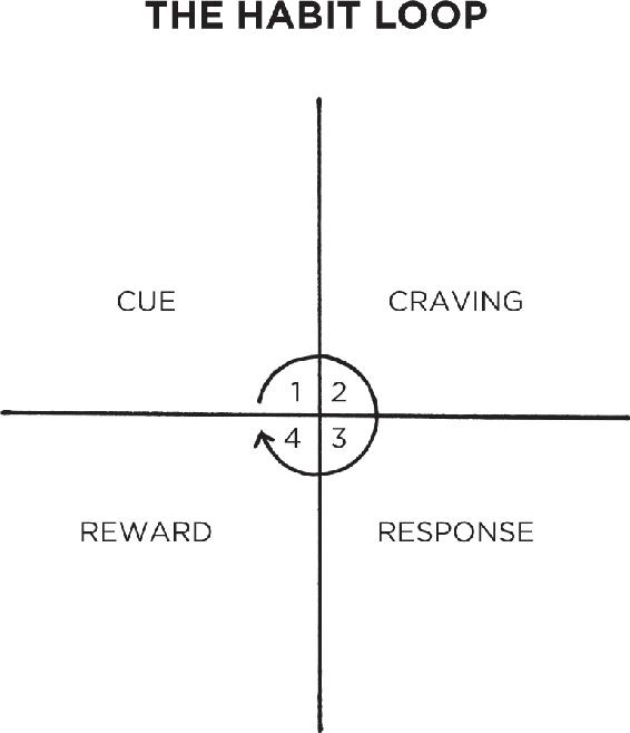 habit loop